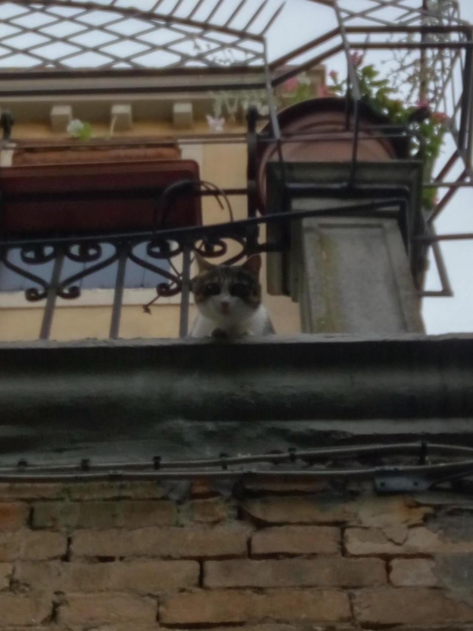 Casa Moresca Venezia Esterno foto